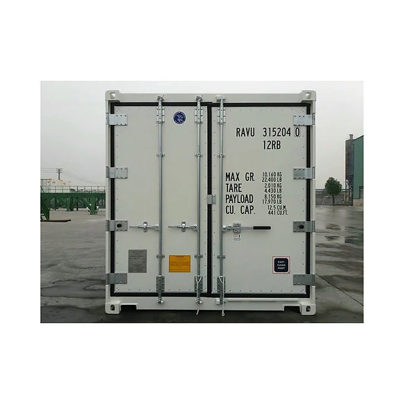 Container10PiedsFrigorifiqueReeferNeuf