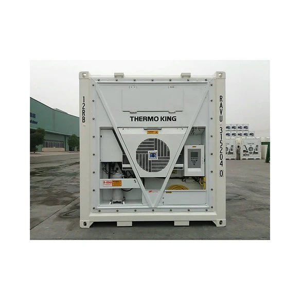 Container10PiedsFrigorifiqueReeferNeuf3