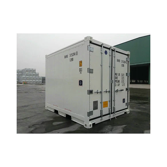 Container10PiedsFrigorifiqueReeferNeuf4