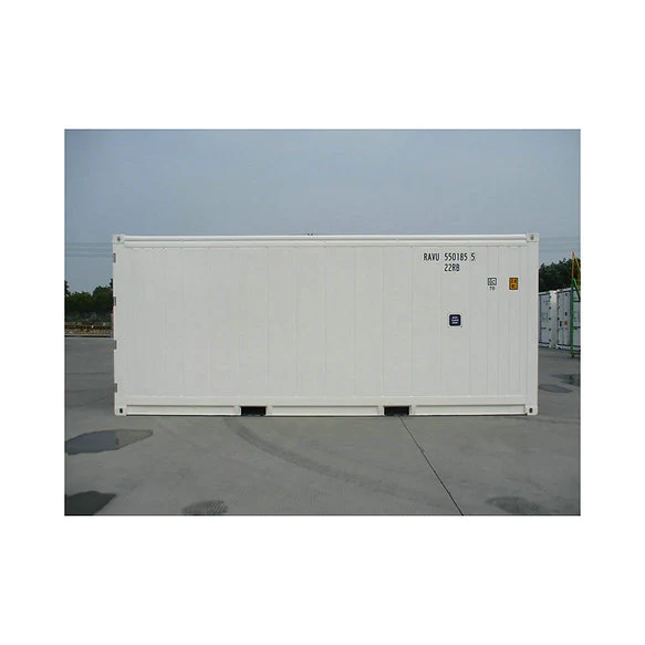 Container20PiedsFrigorifiqueReeferNeuf5